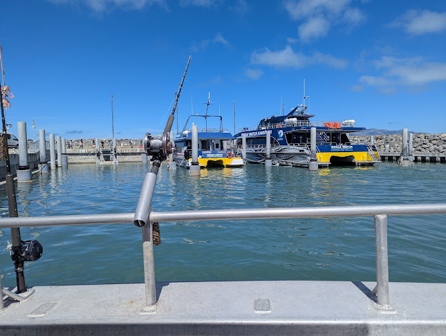 Comments and reviews of Kaikoura Fishing Tours