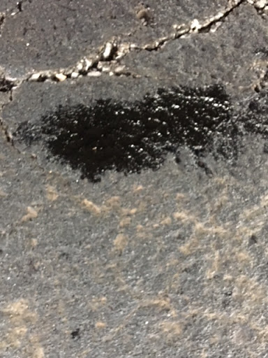 Car Dealer «Ed Martin Buick GMC», reviews and photos, 9896 N Michigan Rd, Carmel, IN 46032, USA