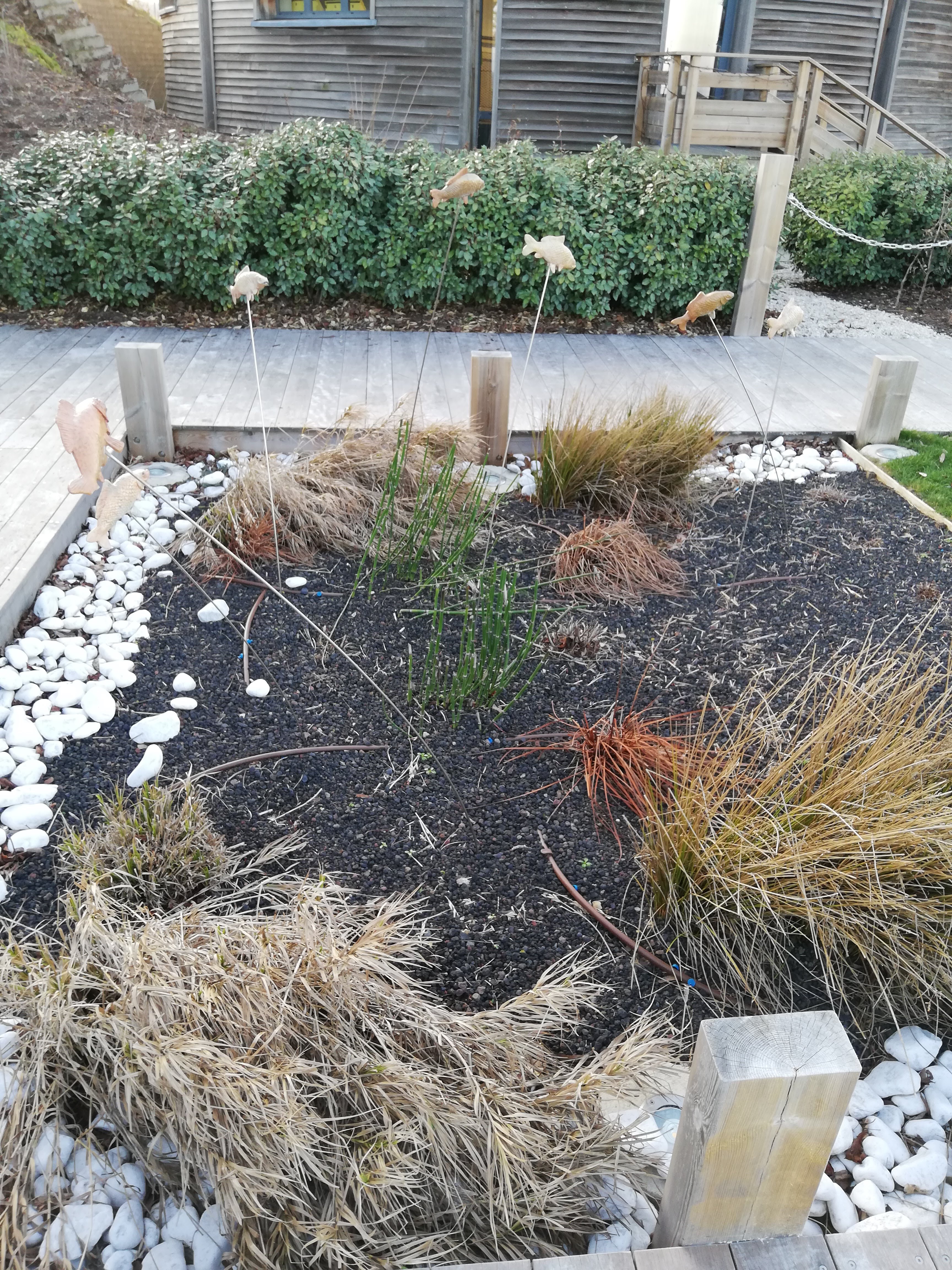 Photo n° 5 de l'avis de fabienne.a fait le 23/02/2019 à 19:17