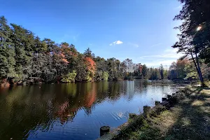 Hammonton Lake Park image