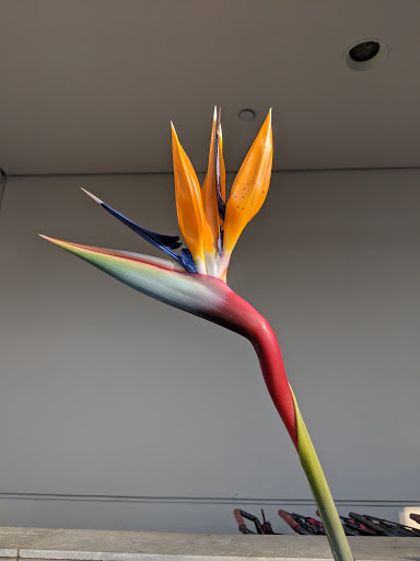 Shopping Mall «Westcliff Plaza», reviews and photos, 1000-1150 Irvine Ave, Newport Beach, CA 92660, USA