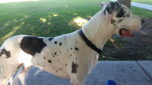 Park «Heers Park», reviews and photos, 6320 Plaza Verde Pl, Las Vegas, NV 89108, USA