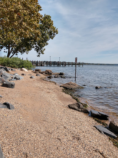 Museum «Havre De Grace Decoy Museum», reviews and photos, 215 Giles St, Havre De Grace, MD 21078, USA