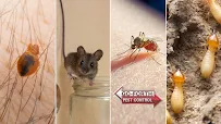 Go-Forth Pest Control - Car repair in Fayetteville, NC, Fayetteville - Rated 4.9/5
