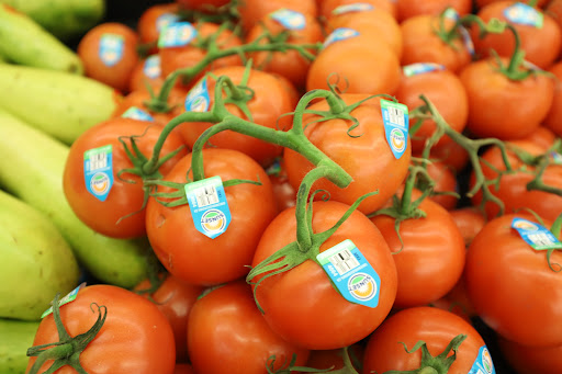 Grocery Store «Food Lion», reviews and photos, 5021 Trotwood Ave Ste 7, Columbia, TN 38401, USA