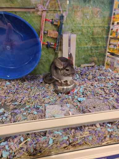 Pet Supply Store «PetSmart», reviews and photos, 1561 N Dysart Rd, Avondale, AZ 85323, USA