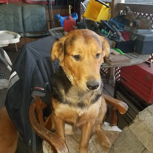 Pet Supply Store «Petco Animal Supplies», reviews and photos, 200 McMahan Blvd, Marion, OH 43302, USA