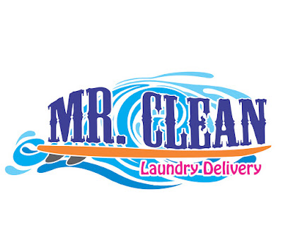 Mr. Clean Laundry Delivery