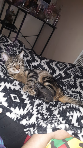 Pet Supply Store «Pet Food Express», reviews and photos, 265 Davis St, San Leandro, CA 94577, USA