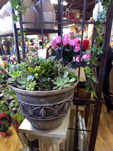 Grocery Store «Grand Food Center», reviews and photos, 606 Green Bay Rd, Winnetka, IL 60093, USA