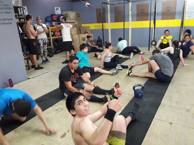 Gimnasio Kraken Box - Gimnasio