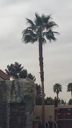 OYO Hotel & Casino Las Vegas - photo 41