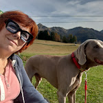 Photo n°1 de l'avis de Arlette.o fait le 31/10/2022 à 13:52 sur le  Zeile à Sauris di Sopra