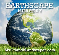 Earthscape Orlando Landscaping, Irrigation & Tree Services - Photo 6 - Car repair in Pine Castle, FL, Kissimmee