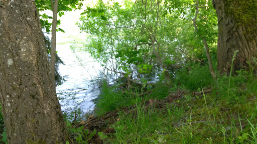 RV Park «Shamrock Village RV Park», reviews and photos, 4531 Franklin Blvd, Eugene, OR 97403, USA