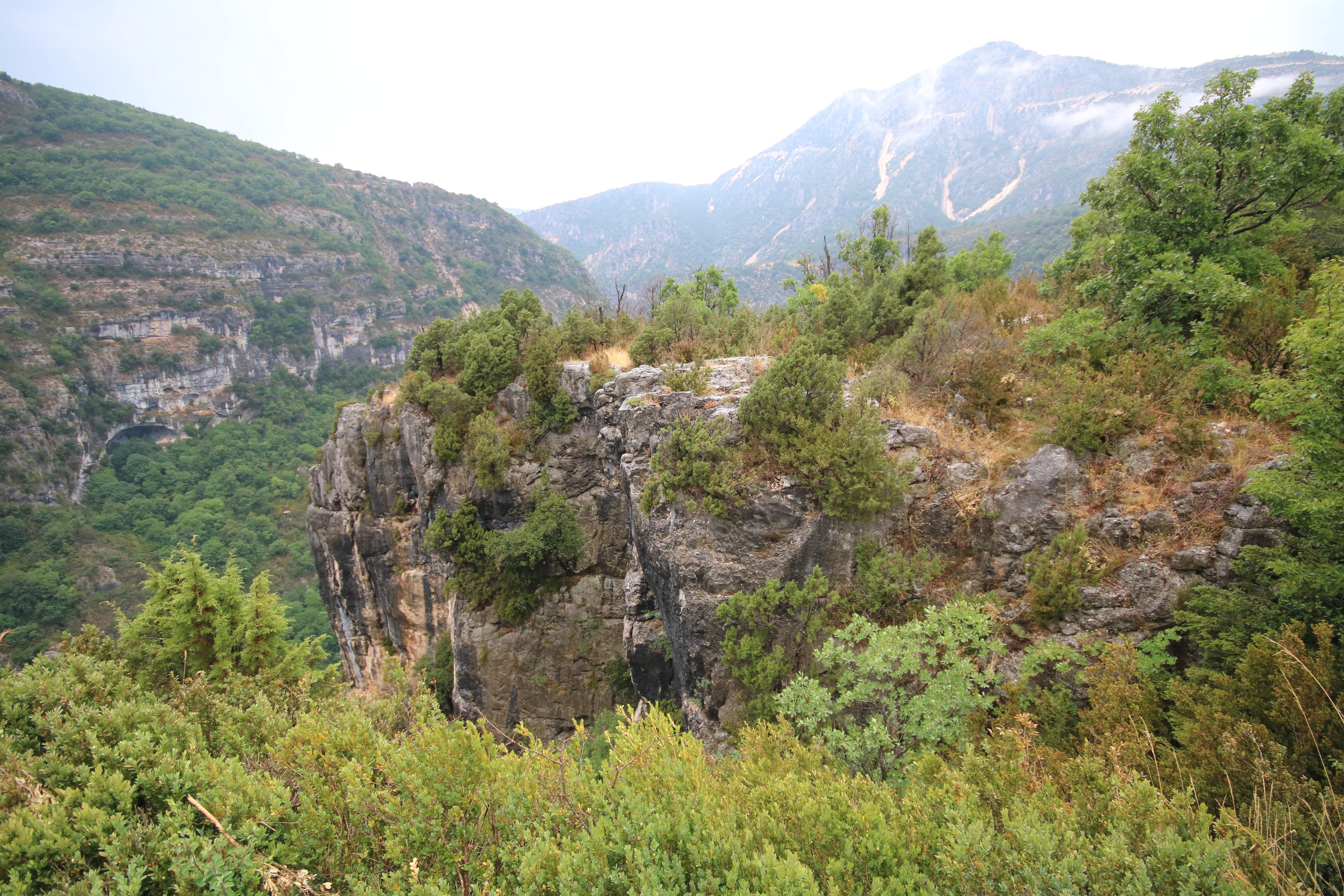 Photo n° 8 de l'avis de Rich. fait le 18/08/2019 à 00:52