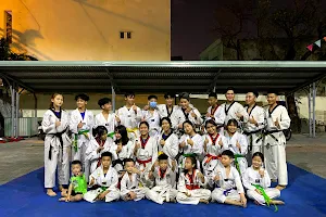 CLB Taekwondo An Hải Bắc image