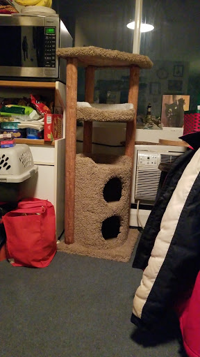 Pet Supply Store «Petco Animal Supplies», reviews and photos, 848 N Colony Rd c, Wallingford, CT 06492, USA