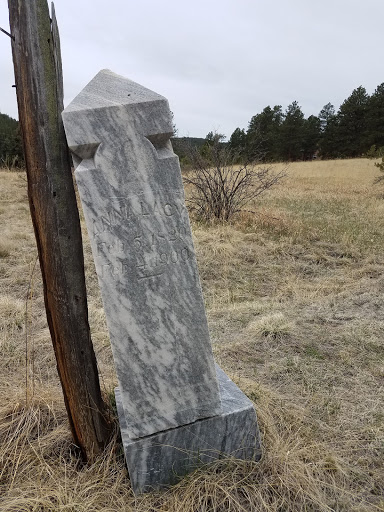 Golf Club «Shining Mountain Golf Course & Event Center», reviews and photos, 100 Shining Mountain Ln, Woodland Park, CO 80863, USA