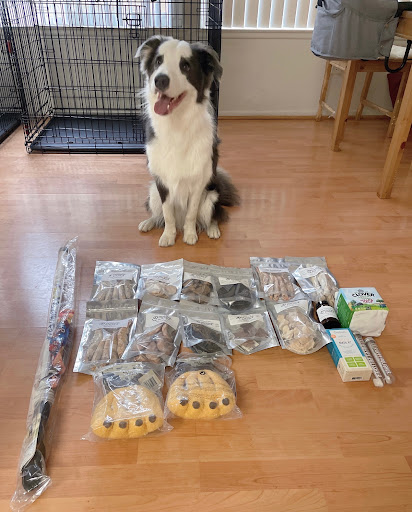 Pawsome Kitchen - Holistic Solutions for Pets