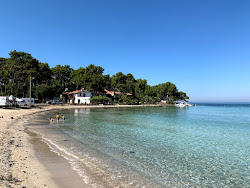Fotografie cu St. pauli beach cu golful spațios