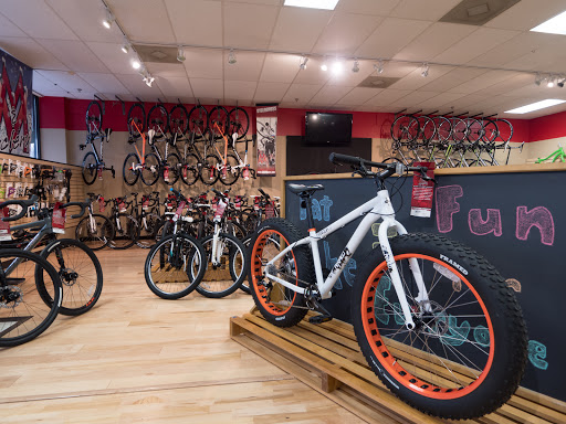 Bicycle Store «M & M Cyclery», reviews and photos, 734 Butterfield Rd, Mundelein, IL 60060, USA