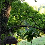 Photo n° 8 de l'avis de Laurent.i fait le 04/06/2019 à 12:52 pour Cabanes perchées Natura Tazenat à Charbonnières-les-Vieilles