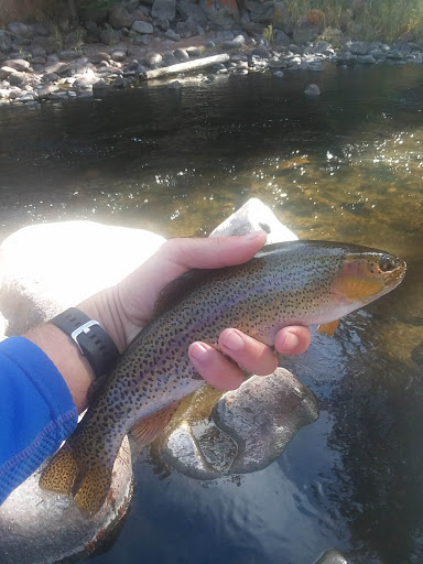 Fishing Store «Minturn Anglers», reviews and photos, 102 Main St, Minturn, CO 81645, USA