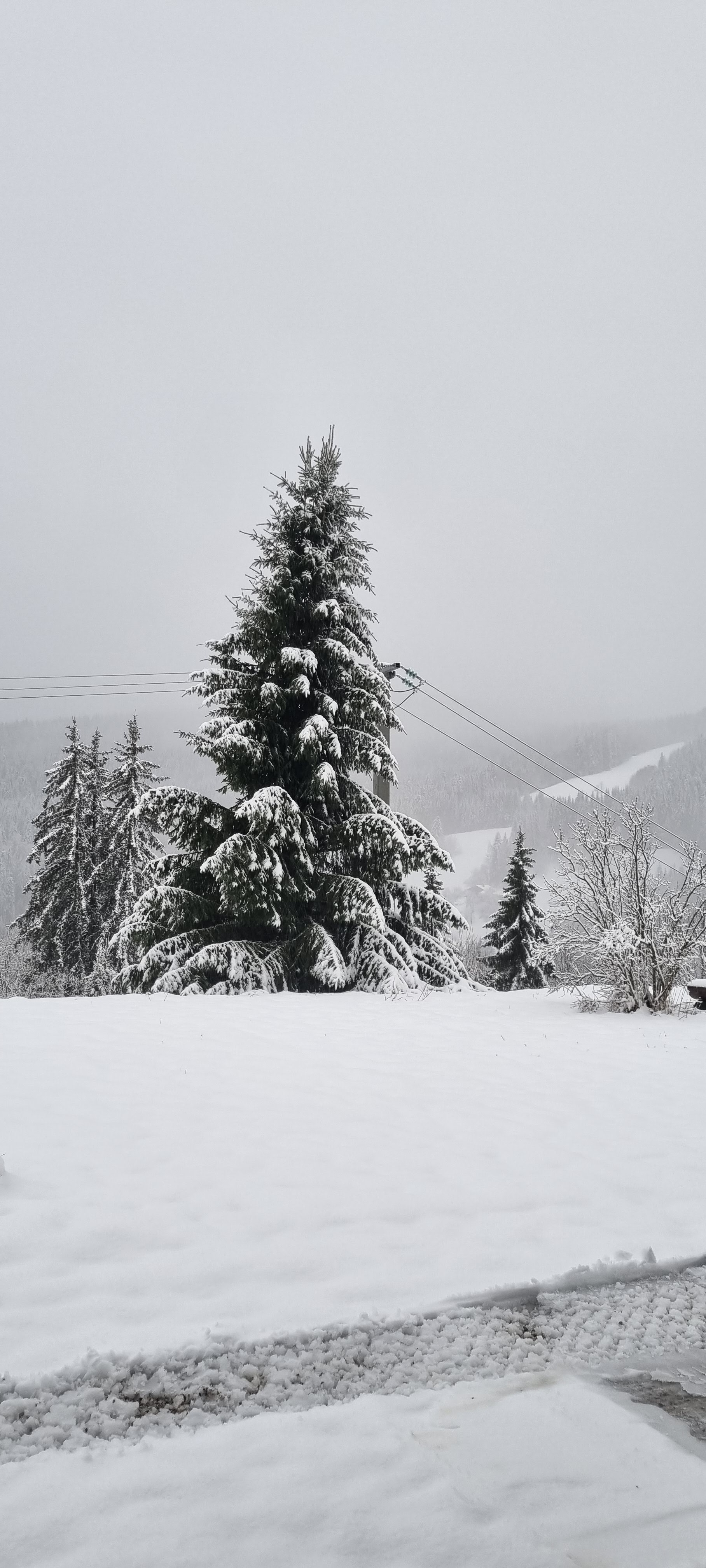 Photo n° 2 de l'avis de jp.o fait le 20/03/2023 à 20:21