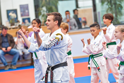 American Martial Arts Academy image