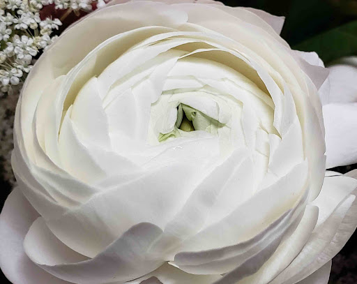 Florist «Heart to Heart Flowers & Gifts», reviews and photos, 5441 Palm Ave, Sacramento, CA 95841, USA