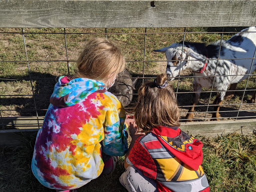 Campground «Hickory Hills Campground», reviews and photos, 499 Dixie Hill Rd, Spencer, IN 47460, USA