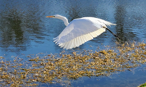 Golf Course «Prairie Lakes Golf Course», reviews and photos, 3202 SE 14th St, Grand Prairie, TX 75052, USA