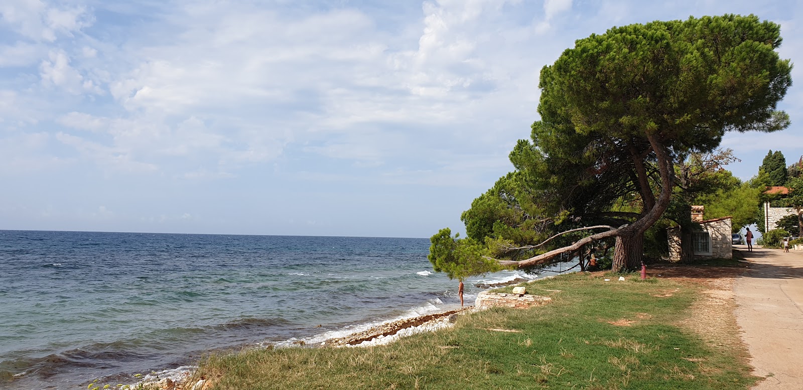 Tropicano beach的照片 带有碧绿色纯水表面