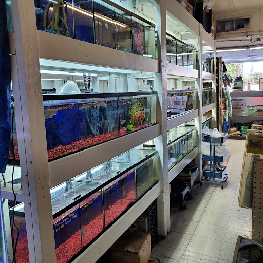 Pet Store «Pet Town», reviews and photos, 7804 Florence Ave, Downey, CA 90240, USA
