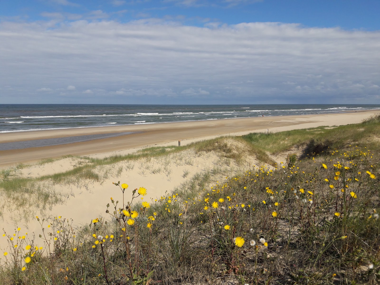Strand Egmond - Binnen'in fotoğrafı - rahatlamayı sevenler arasında popüler bir yer