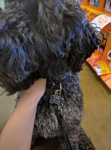 Pet Supply Store «PetSmart», reviews and photos, 6960 Amador Plaza Rd, Dublin, CA 94568, USA