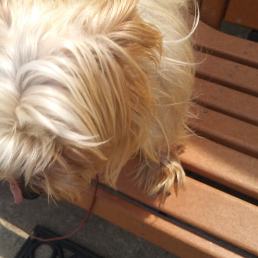 Auto Parts Store «NAPA Auto Parts - Stanley Auto Parts», reviews and photos, 457 E Main St, Stanley, VA 22851, USA