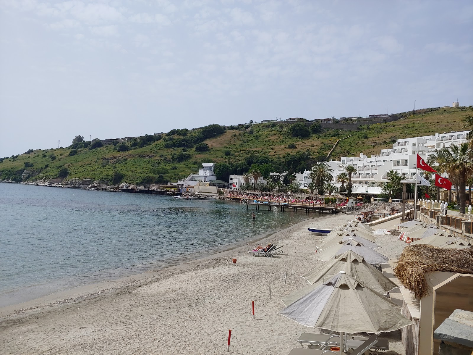 Bardakci Cove'in fotoğrafı ve yerleşim