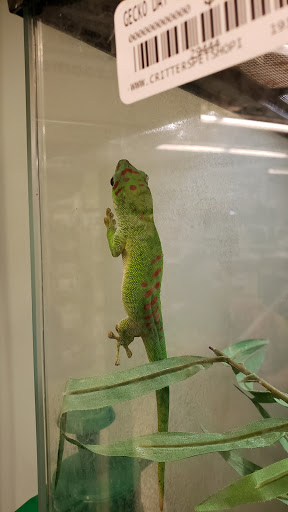 Pet Store «Critters Pet Shop», reviews and photos, Randall Rd, South Elgin, IL 60177, USA