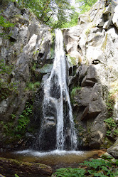 Водопад "Честненско усое"