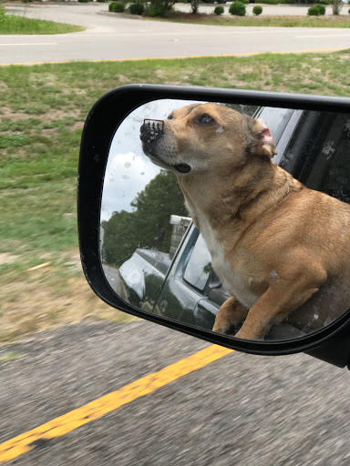 Golf Course «Founders Club at Pawleys Island», reviews and photos, 7829 Ocean Hwy, Pawleys Island, SC 29585, USA