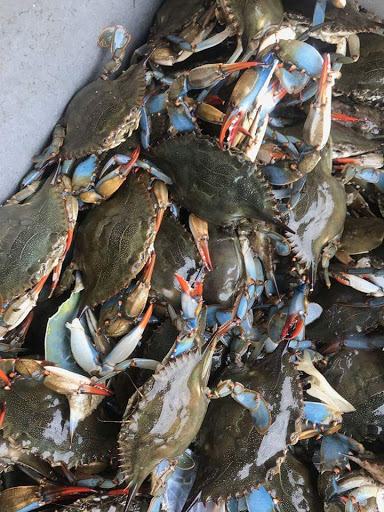 Computer Store «Apple Towson Town Center», reviews and photos, 825 Dulaney Valley Rd, Towson, MD 21204, USA