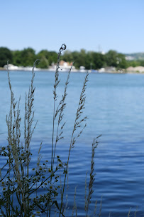 Photos du propriétaire du Restaurant Astro sur Rhin à Village-Neuf - n°6