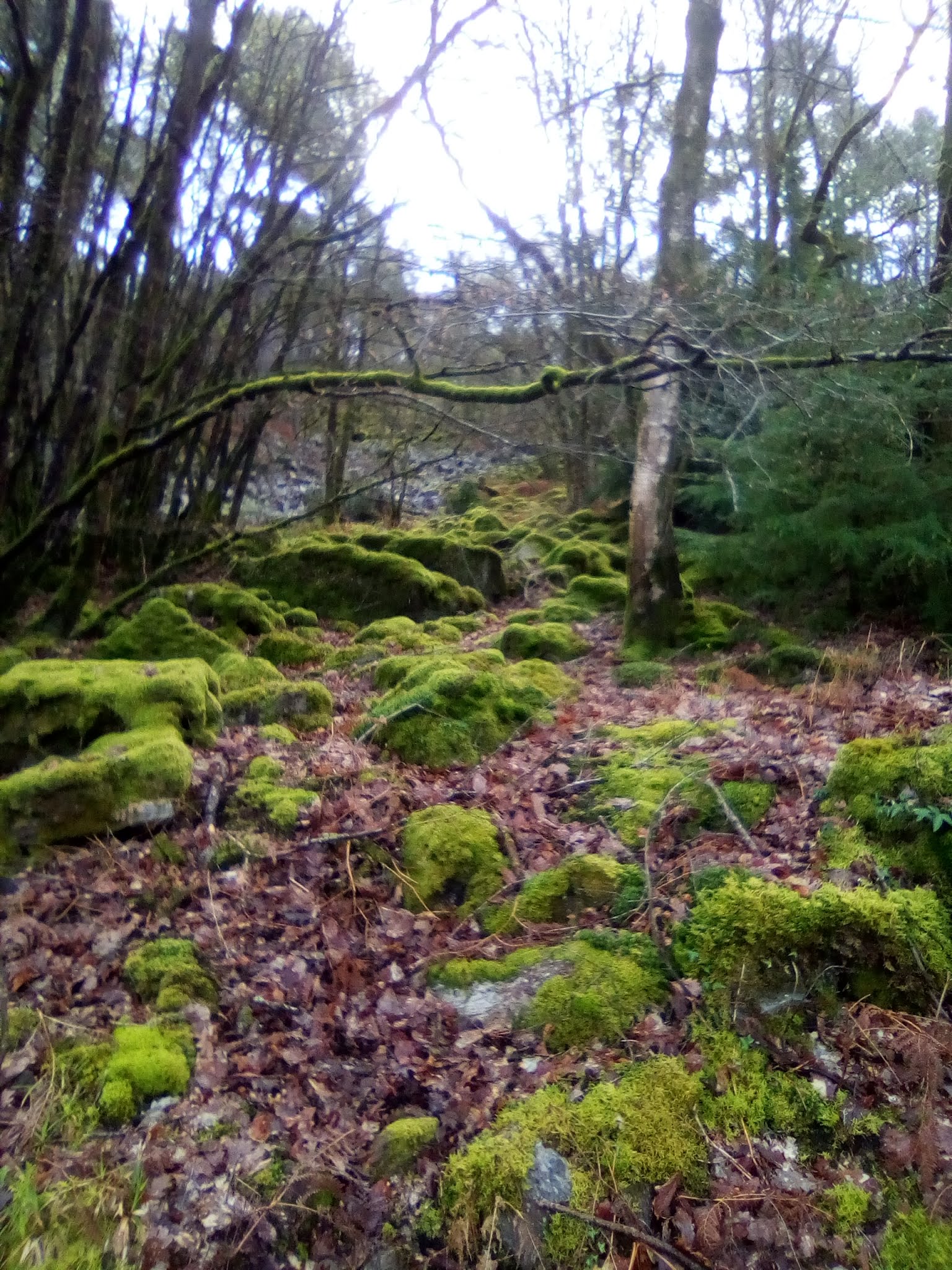 Photo n° 1 de l'avis de benoit.i fait le 14/04/2019 à 15:31