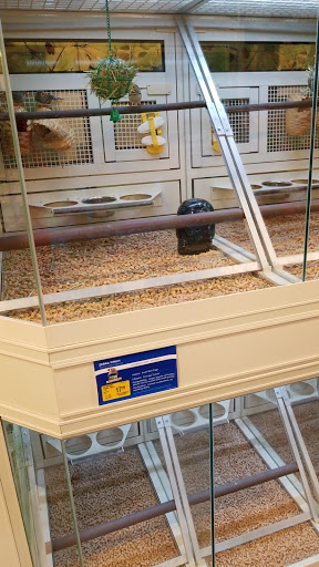 Pet Supply Store «PetSmart», reviews and photos, 2141 N Rose Ave, Oxnard, CA 93036, USA