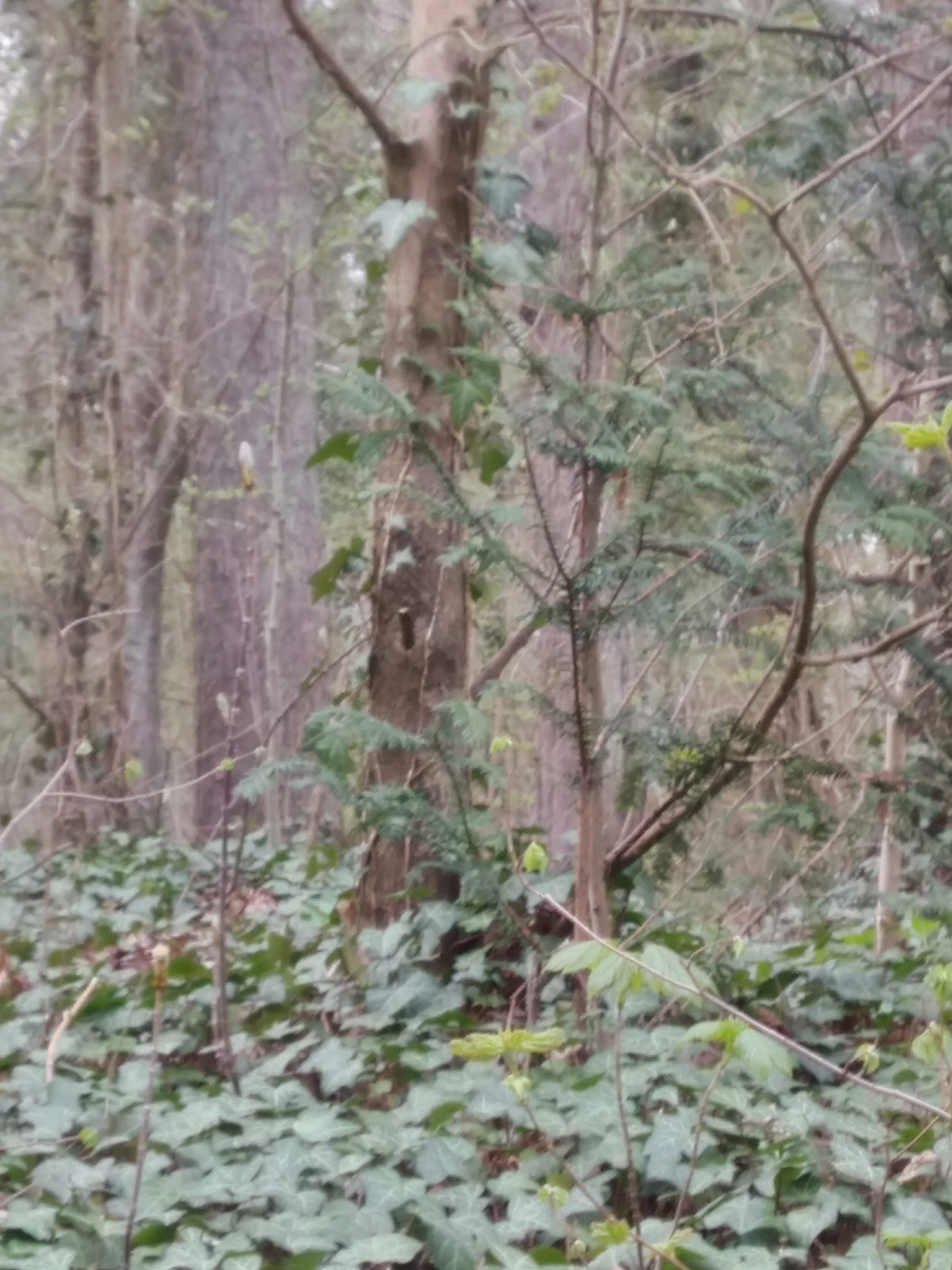 Photo n° 4 de l'avis de carboni.a fait le 24/03/2019 à 15:43