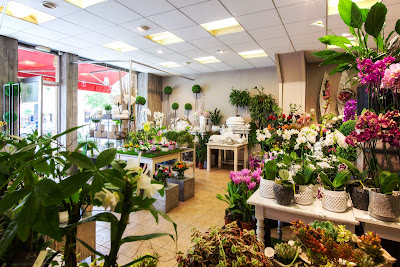 Le Lavandou Fleurs à Yutz
