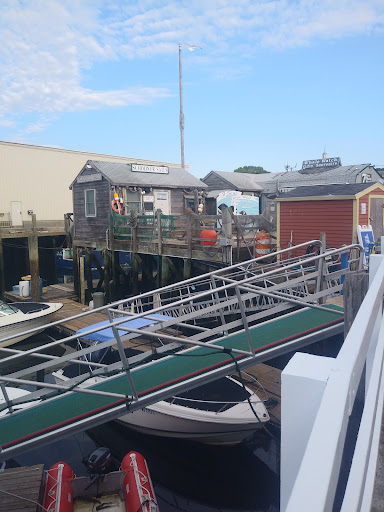 Cruise Agency «Capt. Bill & Sons Whale Watch», reviews and photos, 24 Harbor Loop, Gloucester, MA 01930, USA