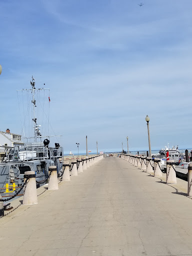 Navy Pier - Observation Deck image 3